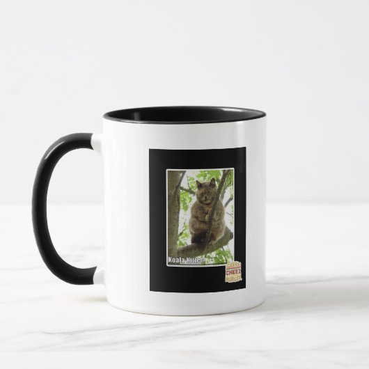 Mug Koala Kitteh (Gauche)