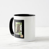 Mug Koala Kitteh (Devant gauche)