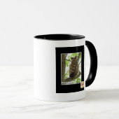 Mug Koala Kitteh (Devant droit)