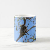Mug Koala Nap (Centre)