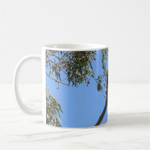 Mug Koala Nap
