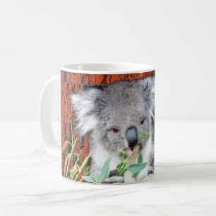 Mug Koala Snack Time