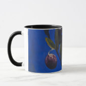 Mug la branche d'olivier (Gauche)