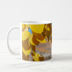 Mug La coloration des trembles à Crested Butte