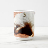 Mug La forêt de la nature : Blancs de Meerkat creuser (Centre)