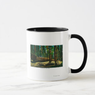 Mug La forêt géante d'ouverture automatique, séquoi