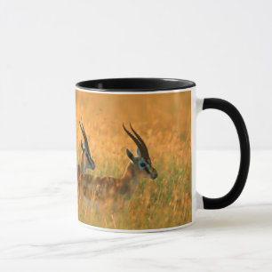 Mug La gazelle de Thomson (Gazella Thomsonii) à l'aube