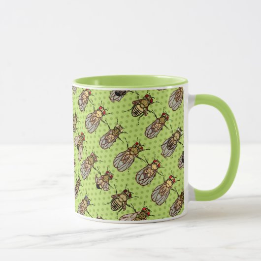 Mug La génétique de mouche à fruit de drosophile - (Droite)