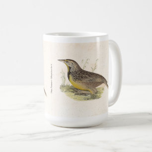 Mug La larve de l'Est (Stourne ella magna) NY Birds