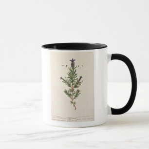 Mug La lavande française, plaquent 241 'd'un Herbal