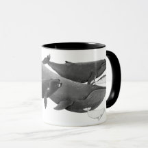 La Nage Des Baleines Illustration Art Whale