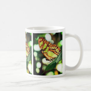 Mug La nature de l'observation des papillons