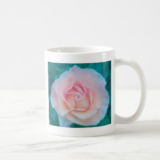 Mug la pêche s'est levée