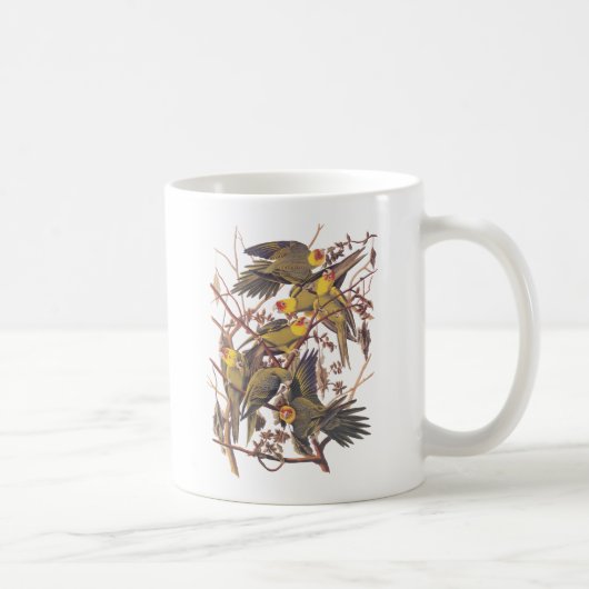 Mug La perruque de Caroline d'Audubon (Droite)