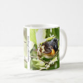 Mug La rougeole américaine par Birding Collectibles (Devant droit)