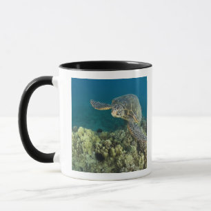 Mug La tortue verte, (Chelonia mydas), est la 2