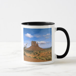 Mug La vallée colorée des monument Mittens dans l'Utah