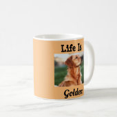 Mug La Vie est le Champion d'Or du Retriever (Devant droit)