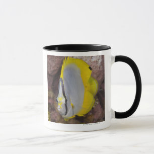 Mug La vie sous-marine, POISSON : Un tropical coloré