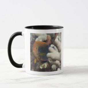 Mug La vie sous-marine ; POISSONS : Un portrait d'un