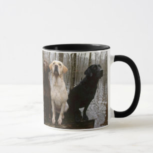 Mug Laboratoires