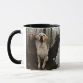 Mug Laboratoires (Gauche)
