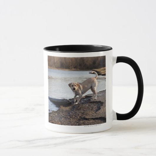 Mug Labrador blanc près d'un lac (Droite)