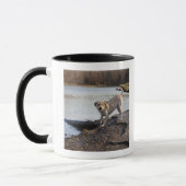 Mug Labrador blanc près d'un lac (Gauche)