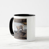 Mug Labrador blanc près d'un lac (Devant gauche)