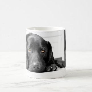 Mug Labrador noir