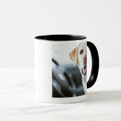 Mug Labrador retriever (Devant droit)