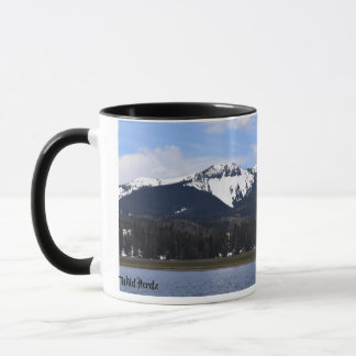 Mug Lac steamboat, le Colorado