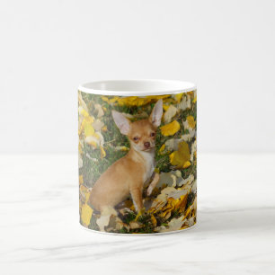 Mug L'adorable chihuahua coquelicot entre Feuilles jau