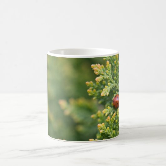 Mug Ladybug (Centre)