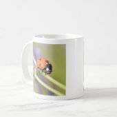 Mug Ladybug sur la tige de la fleur de lavande (Devant gauche)