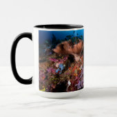 Mug Laja Ampat sous-marin (Gauche)