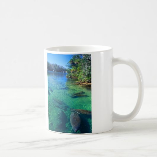 Mug Lamantins (Droite)