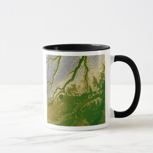 Mug L'Amazonie bolivienne (Droite)