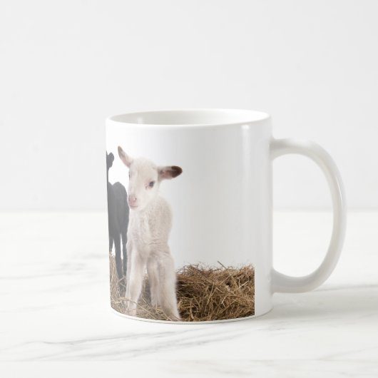 Mug lamb (Droite)