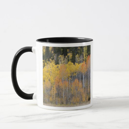 Mug Lambert Hollow, trembles (Gauche)