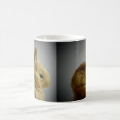 Mug Lapin (Centre)