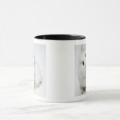 Mug Lapin blanc, noir et brun (Centre)