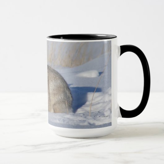 Mug Lapin Cottontail R5 dans la neige (Droite)