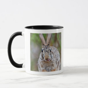 Mug Lapin de lapin du Texas