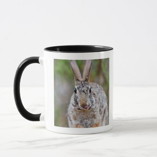 Mug Lapin de lapin du Texas (Gauche)