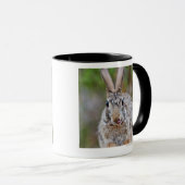 Mug Lapin de lapin du Texas (Devant droit)