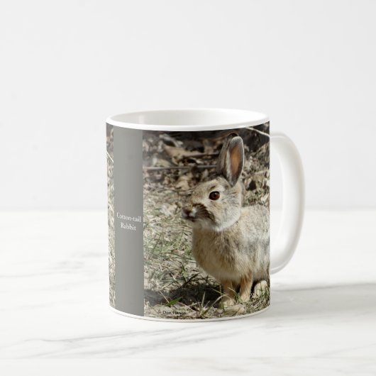 Mug Lapin de lapin R24 (Devant droit)