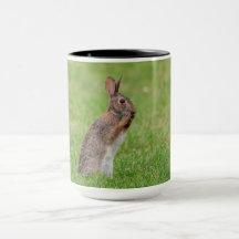 Lapin debout dans l'herbe et l'air timide