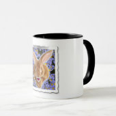 Mug Lapin géant flamand (Devant droit)
