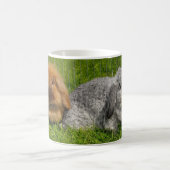 Mug Lapin Lapin Lapin Mini Lop de Lionhead Holland (Centre)